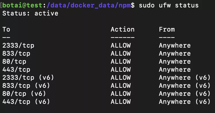 nginx ufw